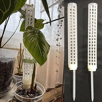 モンテスラ 7141_1.jpg